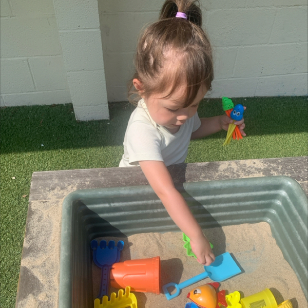 Fun in the Sun